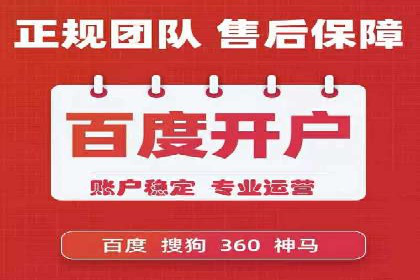 行业内的SEM竞价代运营公司优秀案例剖析